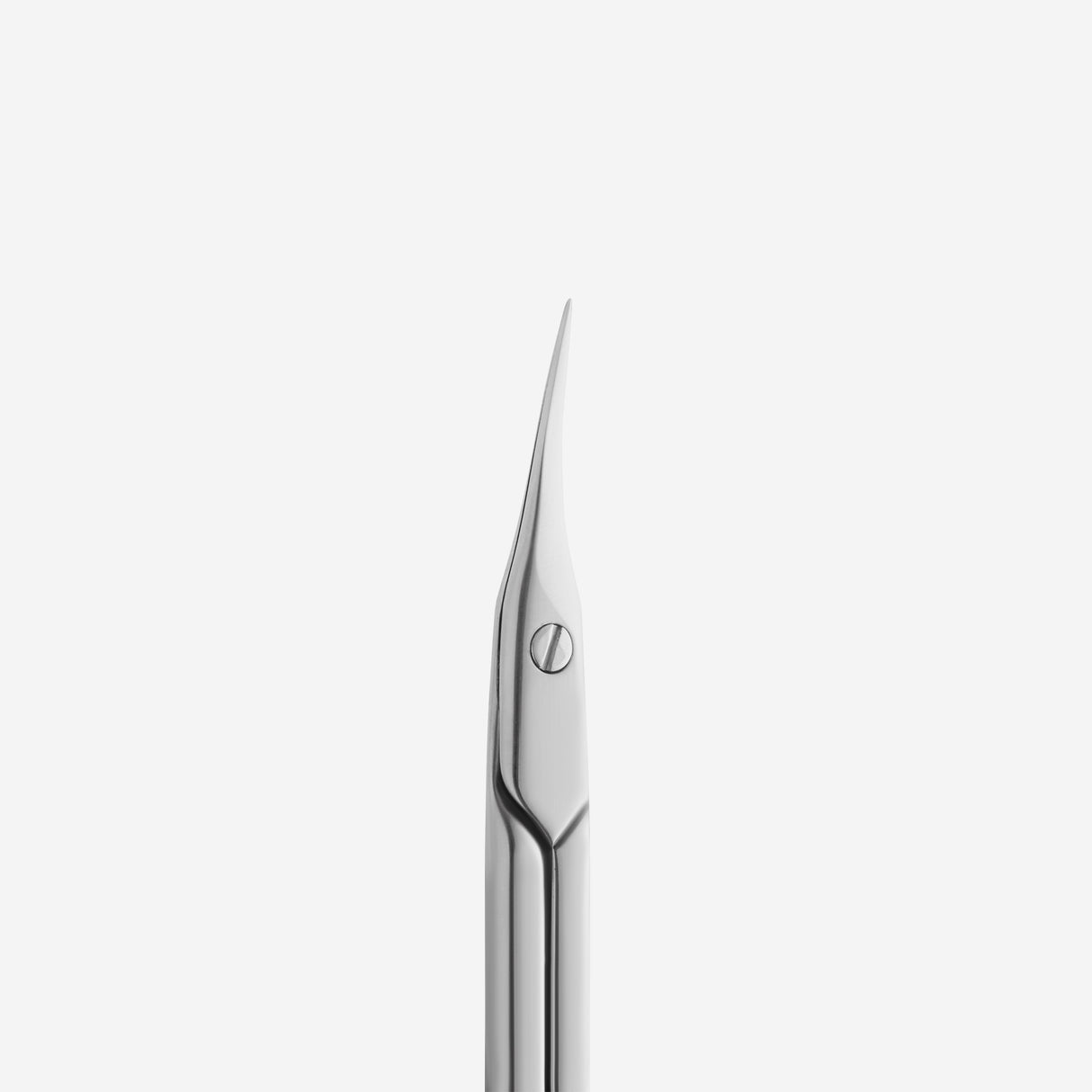 Professional Manicure Scissors Expert SE-50 Type 1 Staleks Pro