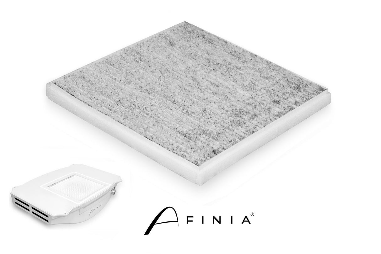 Filtro para aspiradora AFINIA NDC 2000 (Carbón)